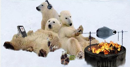 http://www.hottubcoverpros.com/wp-content/uploads/2013/01/winter-bbq.png